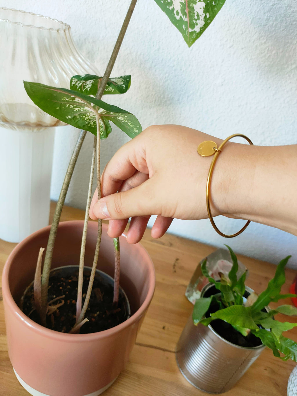 Bracelet Jonc Chloé — Gamme Intention